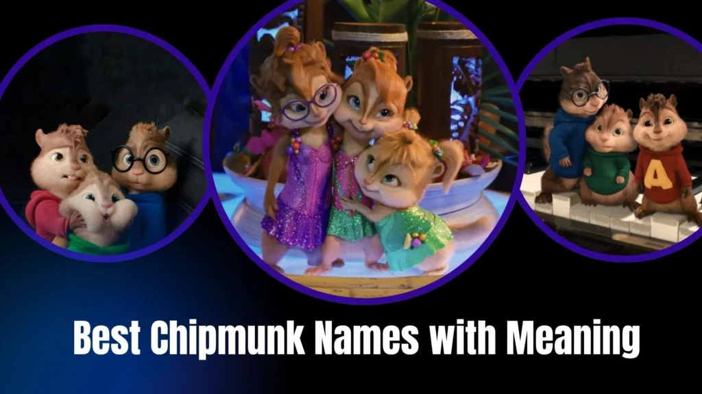 Best Chipmunk Names with Meaning