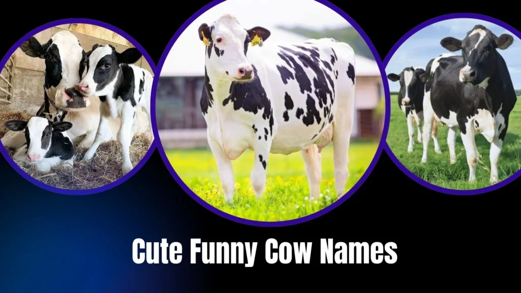 Cute Funny Cow Names