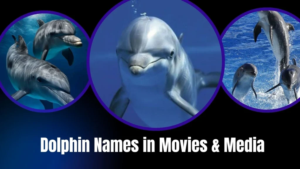 Dolphin Names in Movies & Media