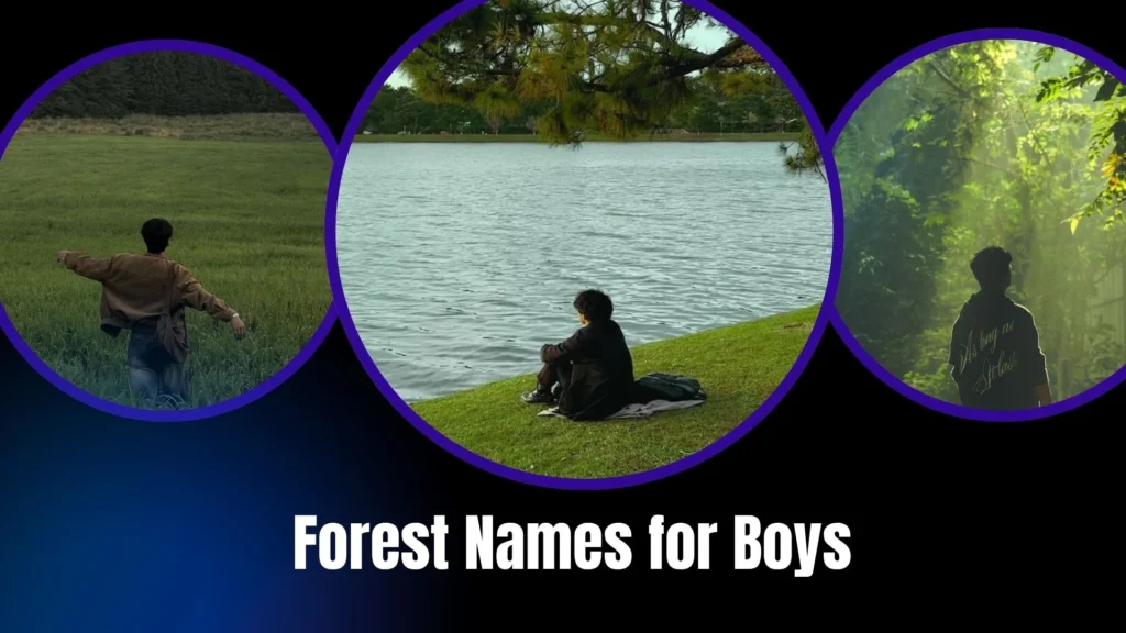 Forest Names for Boys