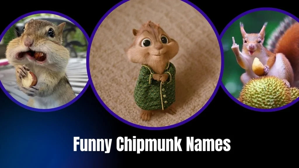Funny Chipmunk Names