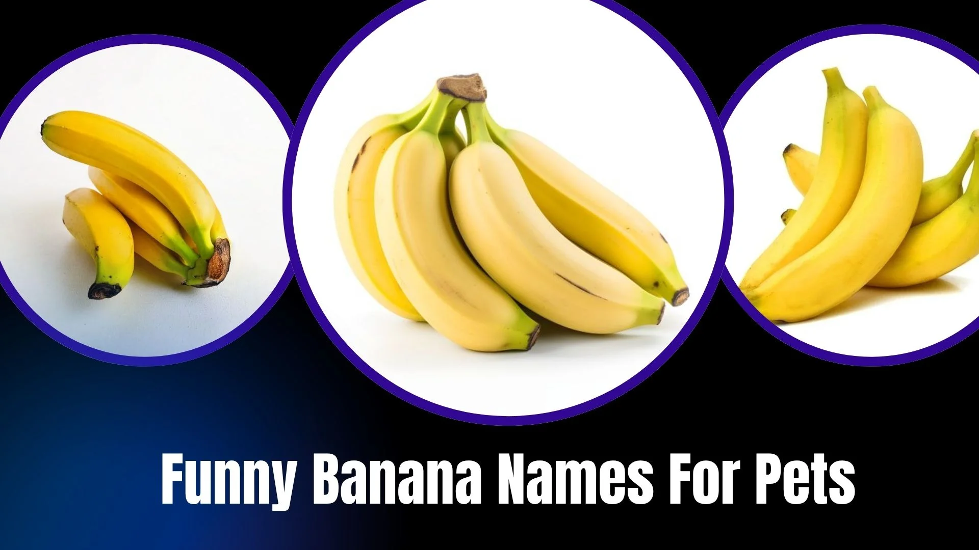 Funny Banana Names For Pets