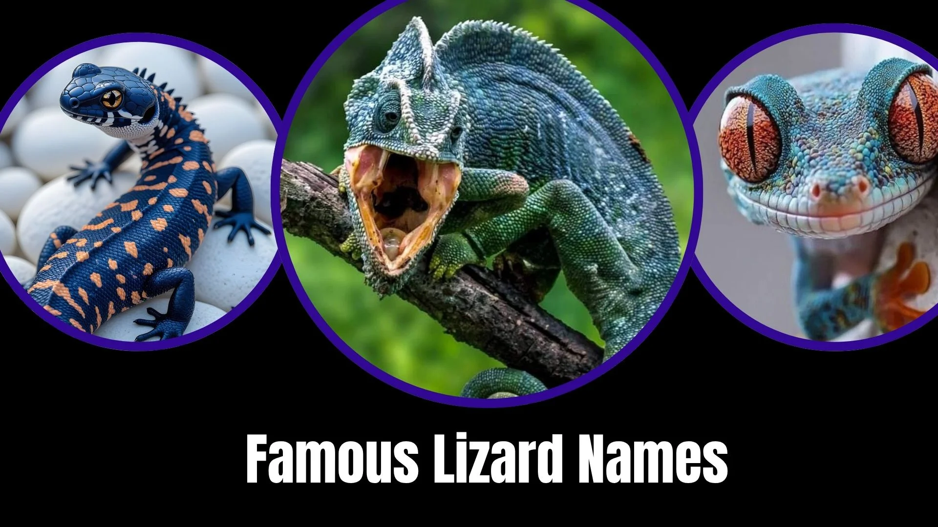 Famous Lizard Names