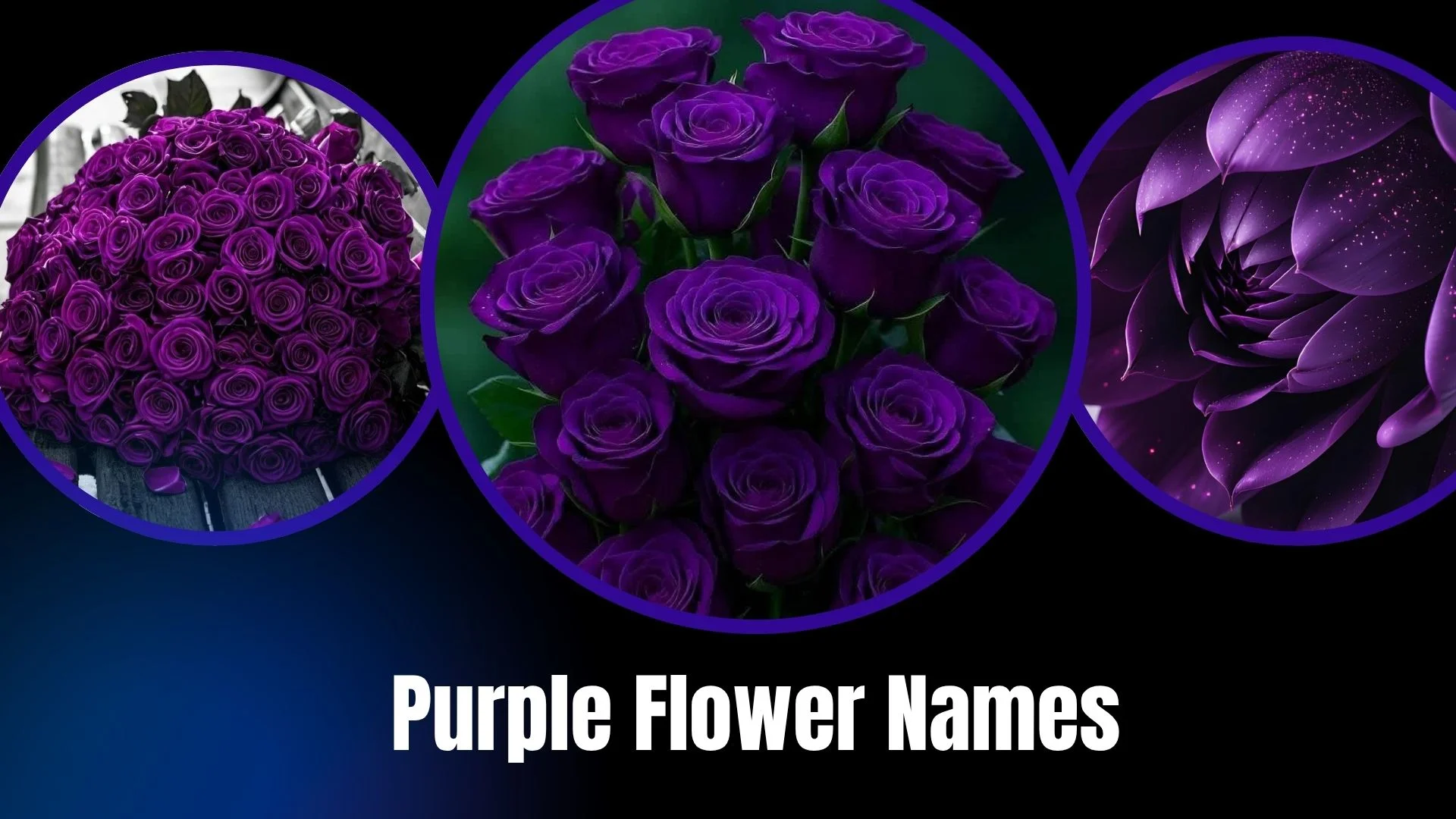 Purple Flower Names