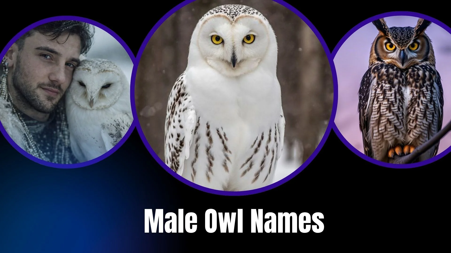 Male Owl Names