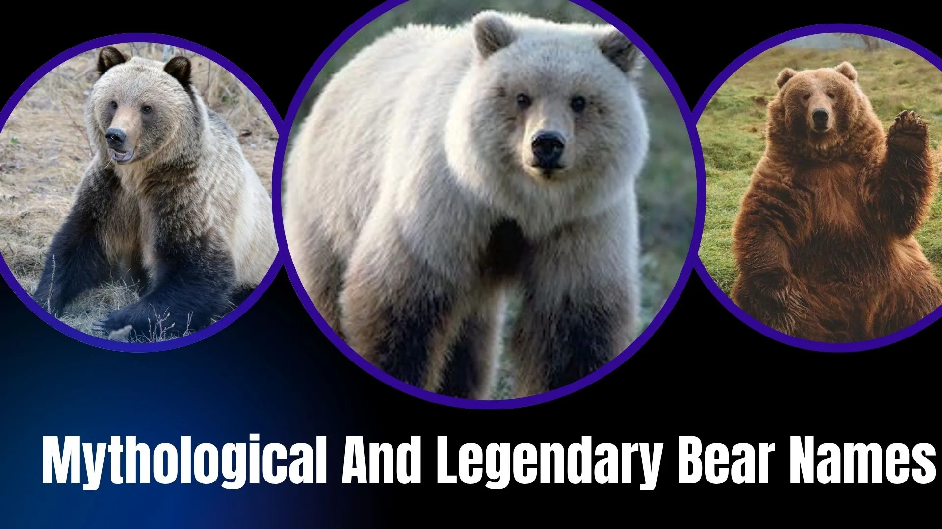 Mythological And Legendary Bear Names