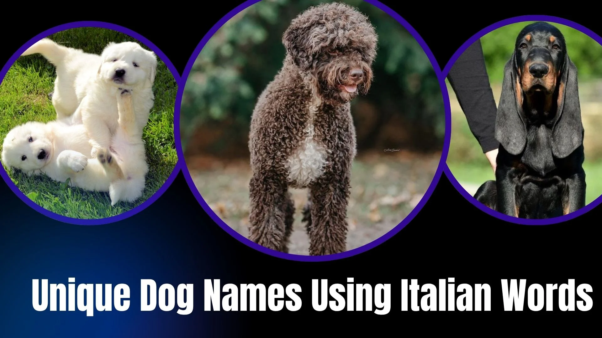 Unique Dog Names Using Italian Words