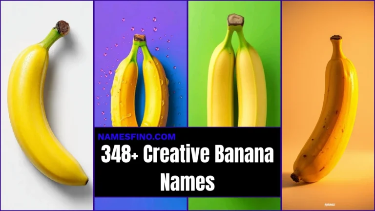 348+ Banana Names You’ll LOVE! Cute, Funny, Green & Seriously Creative Picks