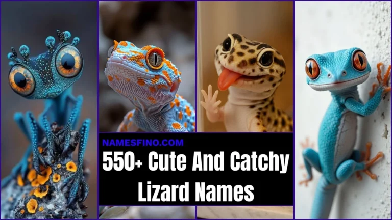 550+ Lizard Names: That Are Too Cute To Ignore Find The One That Fits Your Scaly Friend