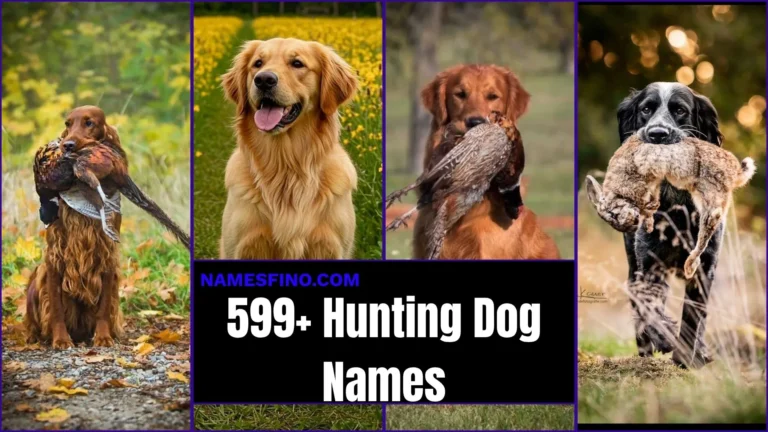 599+ Hunting Dog Names for 2026/27: That Are Tough, Rare and Seriously Unforgettable