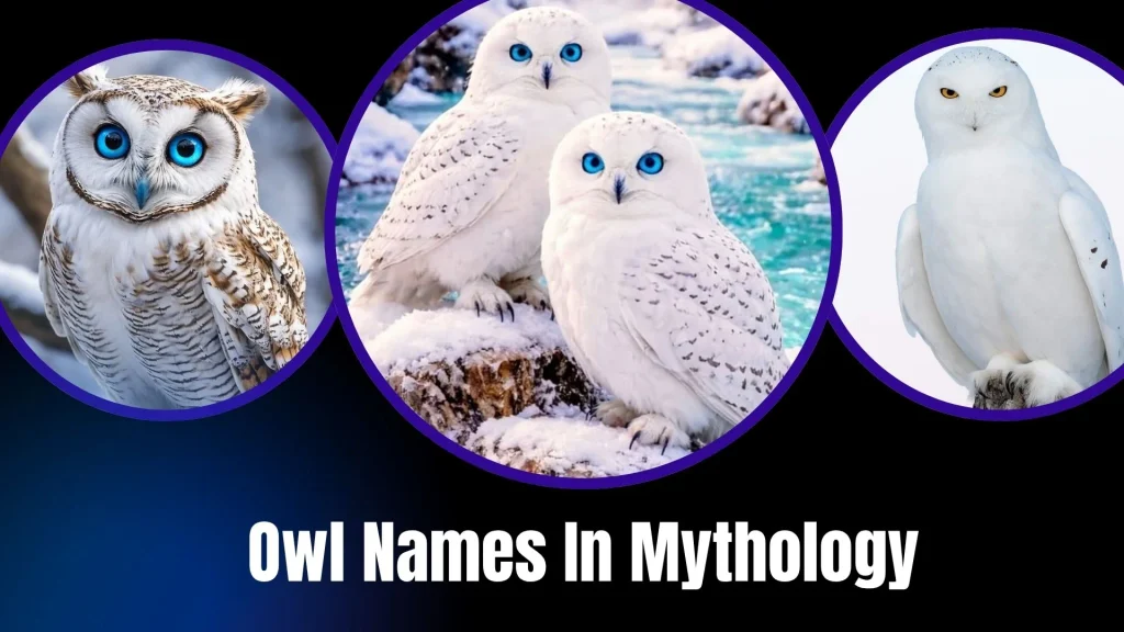 Owl Names In Mythology